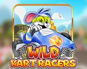 Wild Kart Racers